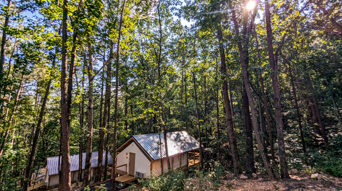 Glamping tents and cabins in the woods.