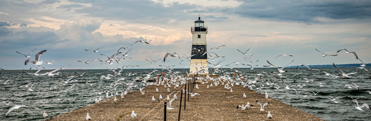 Seagulls find the Channel Lighthouse pier at Presque Isle on Lake Erie to be a popular roosting spot.