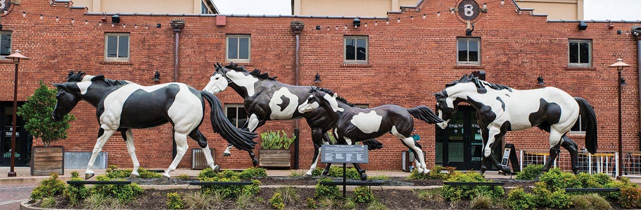 Mule Alley in Fort Worth Stockyards brings new life to district