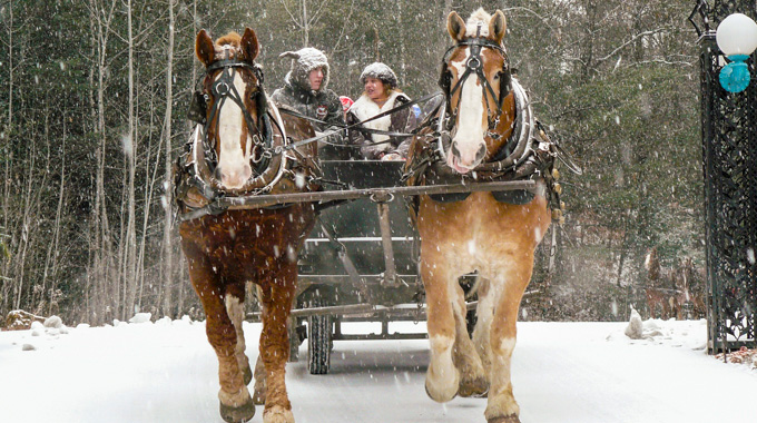 Jackson New Hampshire horse-drawn tour.