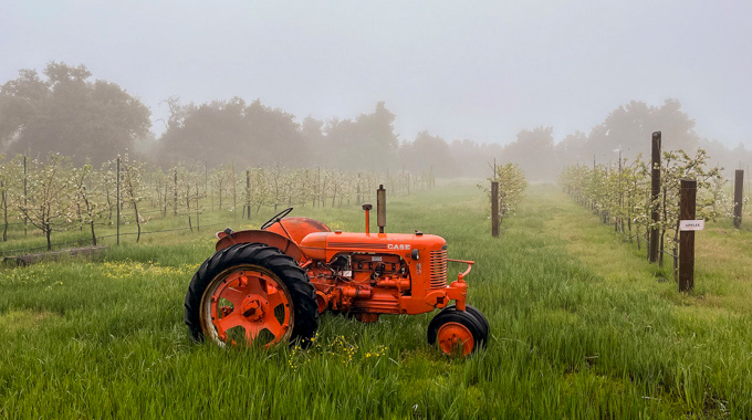 Tractor in a foggy field at Julian Farm and Orchard.