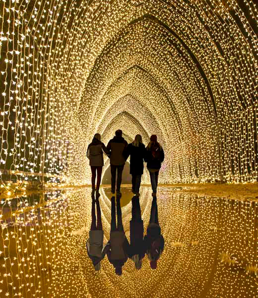 Four people walking arm in arm through the San Diego Botanic Garden Lightscape Cathedral