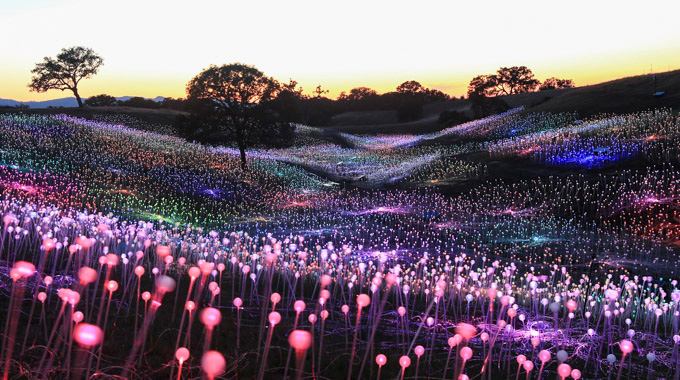 Thousands of spheres glow in various colors at Sensorio Field of Light
