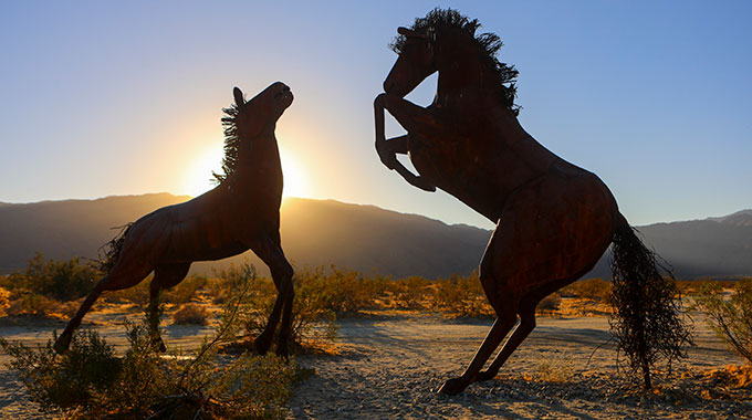 Galleta Meadows' Fighting Stallions