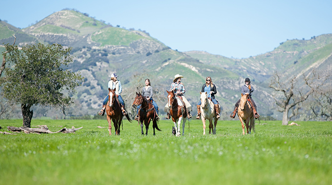A group of five people horseback riding