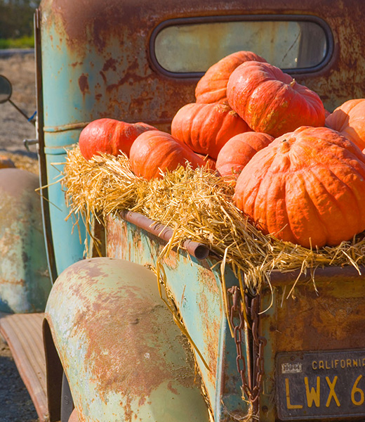 Gourds resting on a haystack in a truckbed