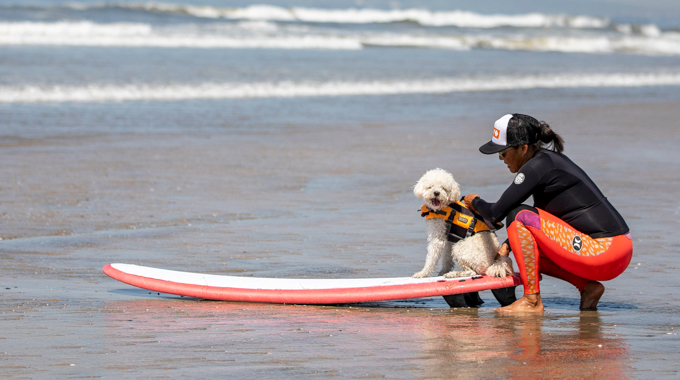 Trainer crouching beside a dog on a surfboard.