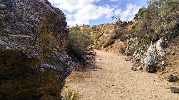 The Panorama Loop Trail starts in a sandy wash then ascends to the ridgeline of the Little San Bernardino Mountains. | Photo by Jeffrey Rocchio