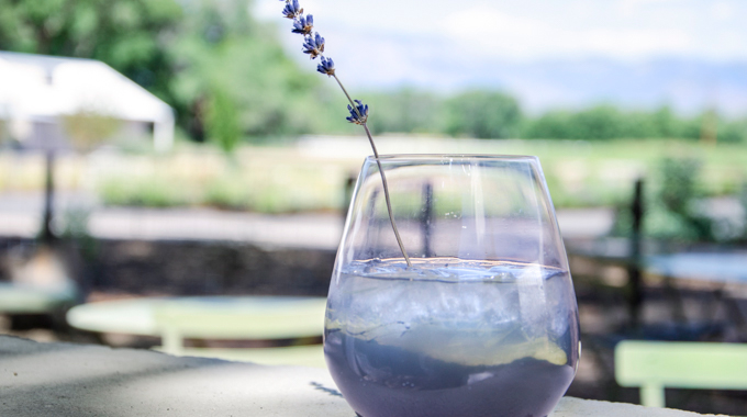 Los Poblanos Inn's lavender cocktail.