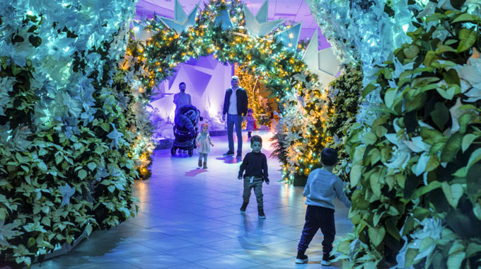 Family walking through Frost: An Ice Capped Garden Experience.