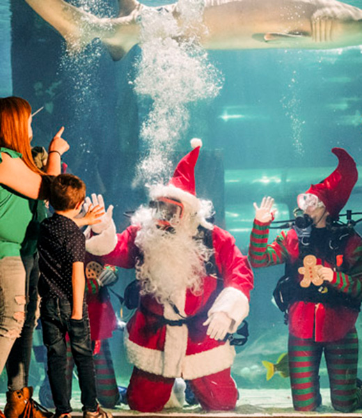 Santa Claus underwater in scuba gear.