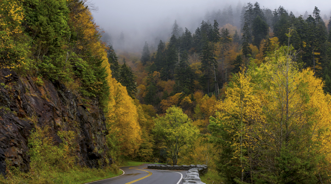Newfound Gap Road in Great Smoky Mountains National Park courses through four forest ecosystems. | Photo by Larry Knupp/stock.adobe.com
