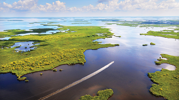 A boat gliding through Everglades National Park Whitewater Bay.
