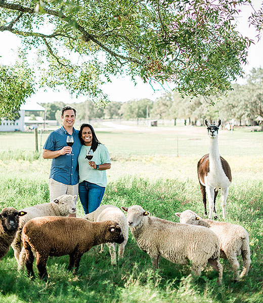 Kalasi Cellars owners Greg and Nikhila Narra Davis, surrounded by Babydoll sheep and a llama named Dalai. | Photo by Stacy Lorraine Photography