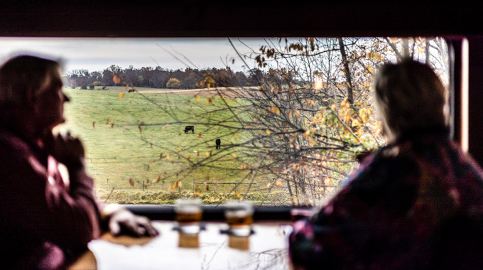 Couple watching passing scenery through the train window