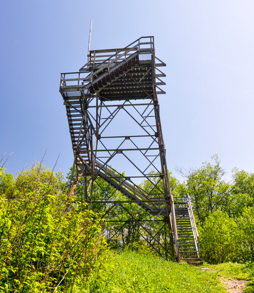 Looking up at Bickle Knob Observation Tower.